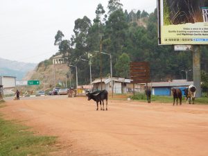 Business slow at Rwanda-Uganda borders despite M7-Kagame pact
