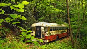 Bus in forest