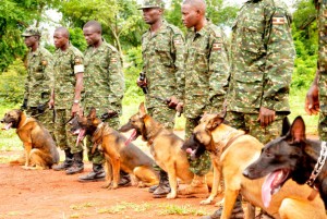 UPDF sniffer dogs