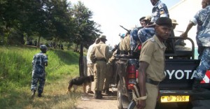 Police mounts search in Kasese Town yesterday. (Sunday Monitor photo)
