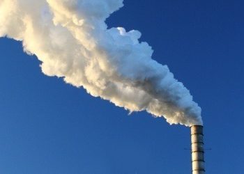 Govt to construct own incineration centres 
