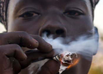 Health experts warn against uncontrolled consumption of cannabis