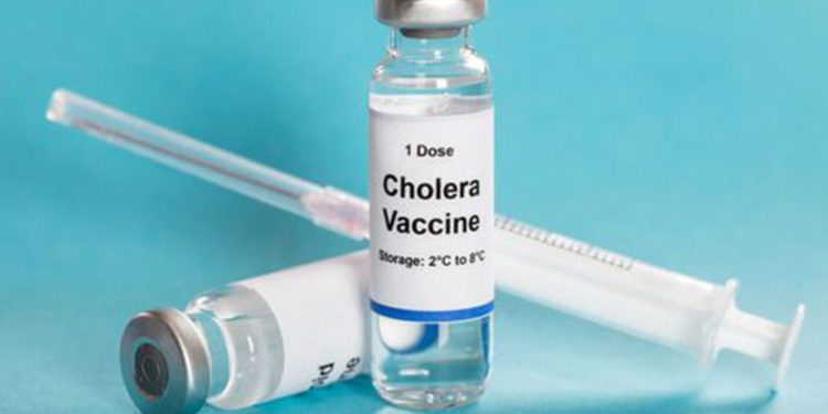 Cholera outbreak kills 10 in South Africa