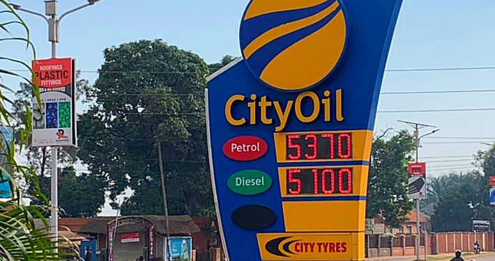 Govt asked to temporarily suspend taxes on fuel to curb prices