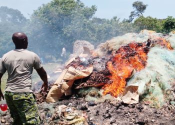 FPU destroys immature fish worth over a billion shillings in Masaka